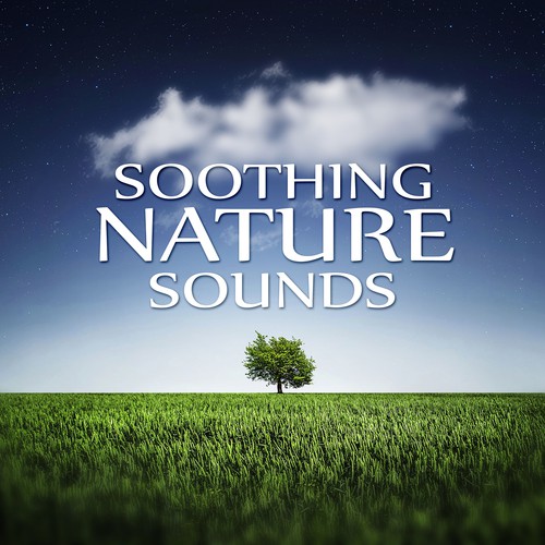 Soothing Nature Sounds - Ocean Waves, Well Being, Healing Yoga, Massage Music Therapy, Bliss Spa, Nature Sounds