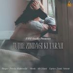 Tujhe Zindagi Ki Tarah