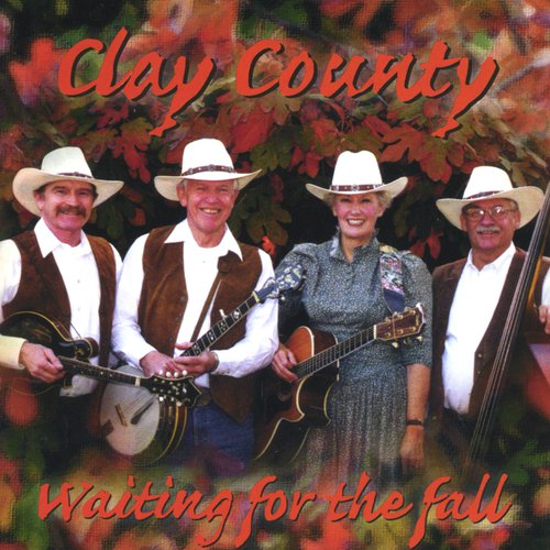 Waiting For the Fall cover art