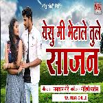 Yesu Me Bhetale Tule Sajana