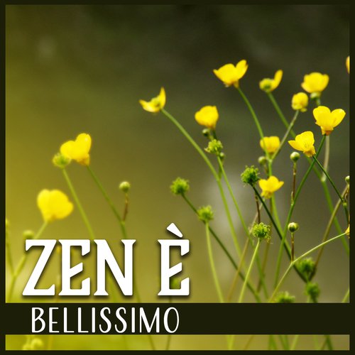Uccelli nel giardino zen cover art