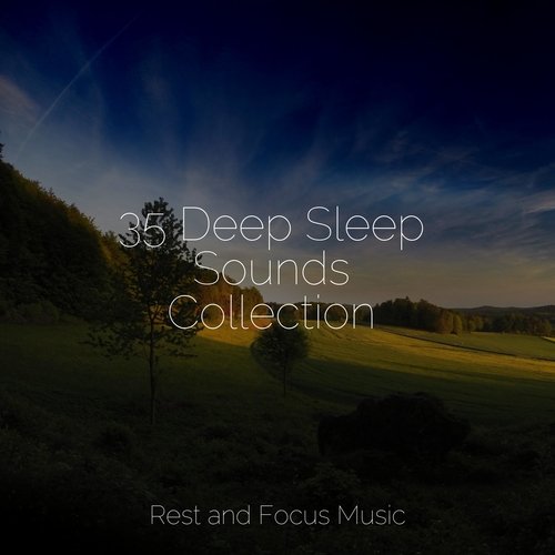 35 Deep Sleep Sounds Collection