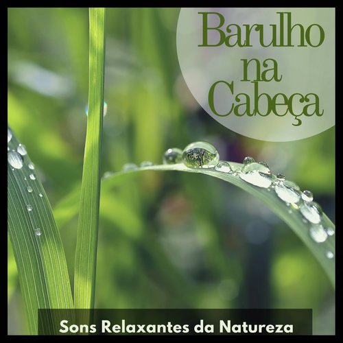 Barulho na Cabeça: Sons Relaxantes da Natureza, Música com Barulho de Chuva