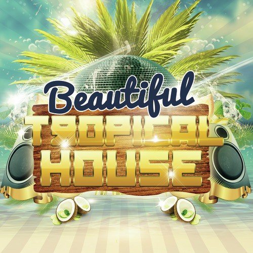 Beautiful Tropical House