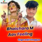 Bhaichara M Aav Feeling