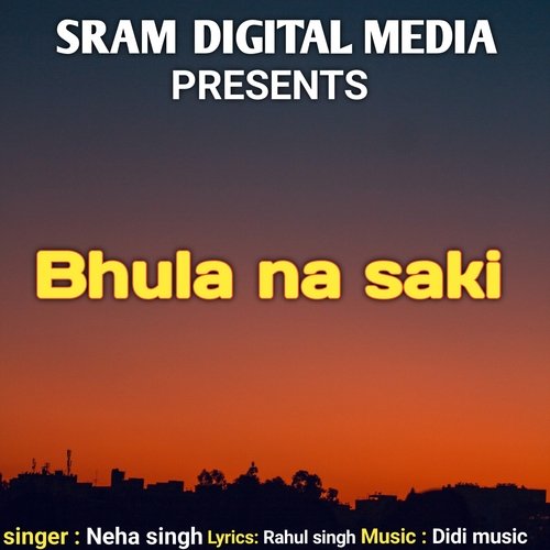 Bhula na saki