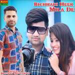 Bichhadi Heer Mila De