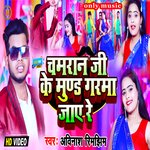 Chamran Ji Ke Mund Garma Jai Re