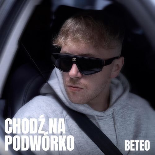 Chodź na podwórko cover art