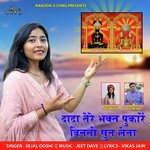 Dada Tere Bhakt Pukare Vinati Sun Lena