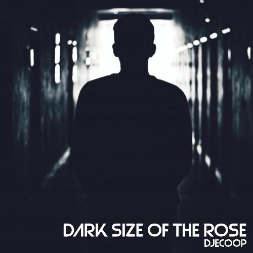 Dark Side of the Rose_poster_image