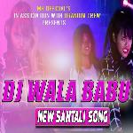 Dj Wala Babu