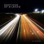 EMOTIONS OF SILENCE