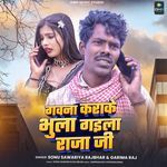 Gawana Karake Bhula Gyila Raja Ji