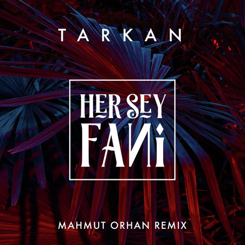 Her Şey Fani (Mahmut Orhan Remix)_poster_image