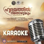 Hridayathil Ninnozhukum - Karaoke