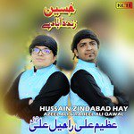 Hussain Zindabad Hay