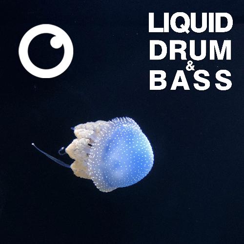 Liquid Drum & Bass Sessions 2020 Vol 37