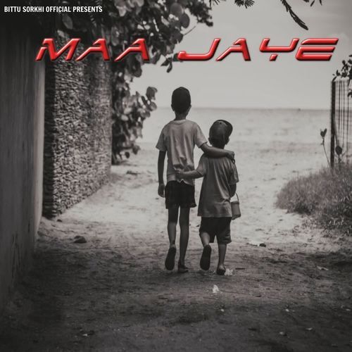 Maa Jaye cover art