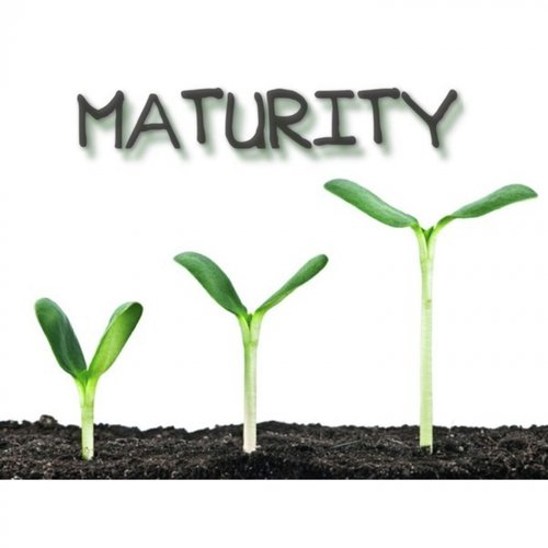 Maturity_poster_image