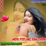 Meri FeelingSun Chori