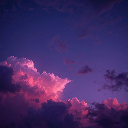 Pinc Skies