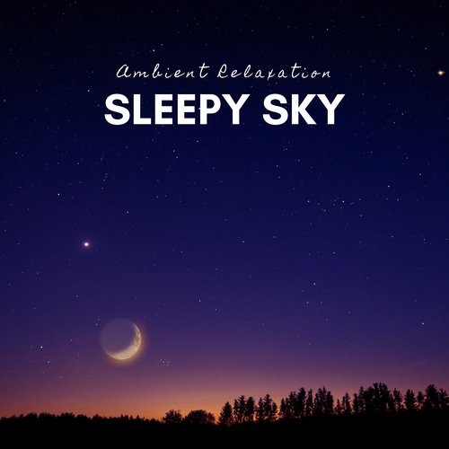 Sleepy Sky_poster_image