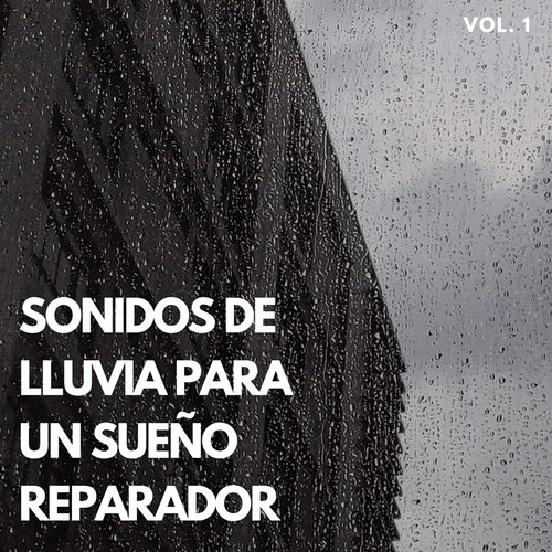 Música De Lluvia cover art