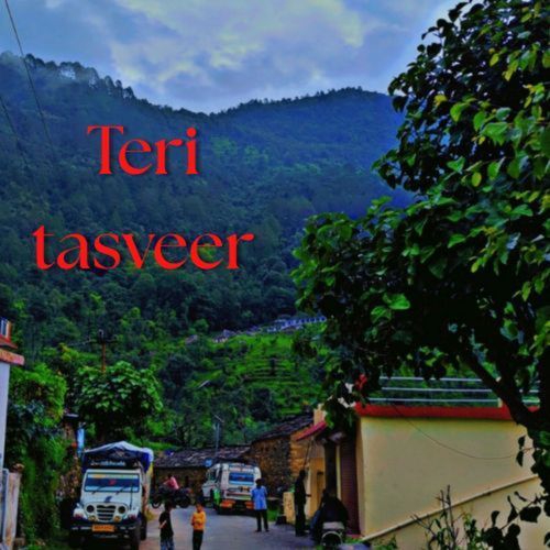 Teri tasveer