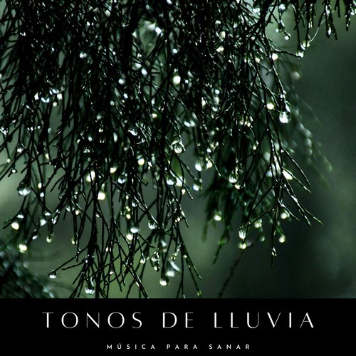 Sonidos De Piano cover art