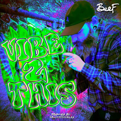 Vibe 2 This_poster_image