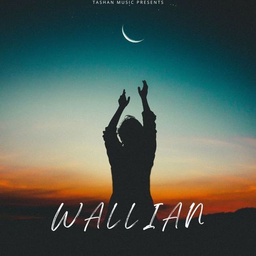 Wallian_poster_image