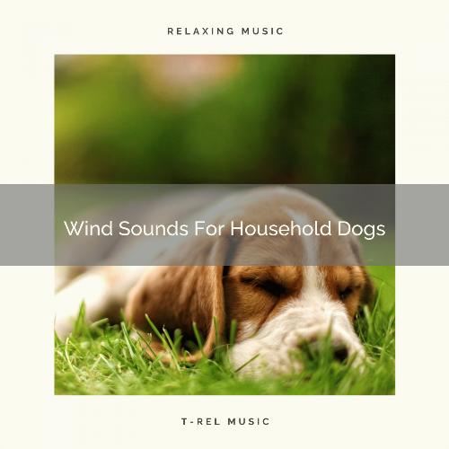 Wind Sounds For Household Dogs