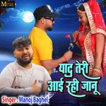 Yaad Teri Aai Rahi Janu