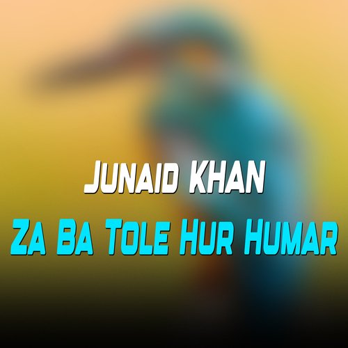 Za Ba Tole Hur Humar