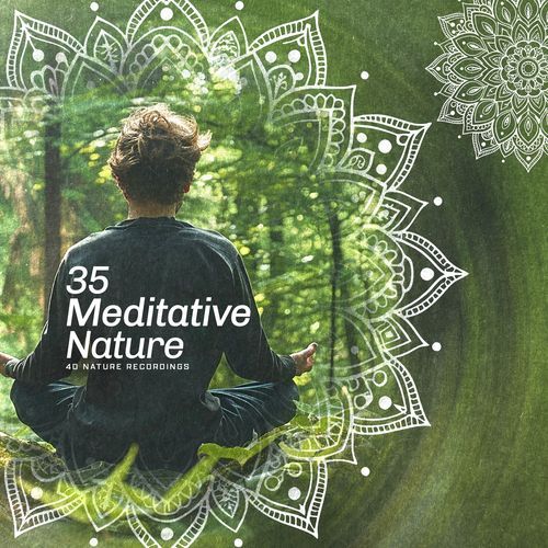 35 Meditative Nature