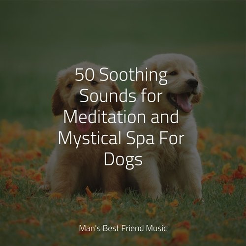 50 Soothing Sounds for Meditation and Mystical Spa For Dogs