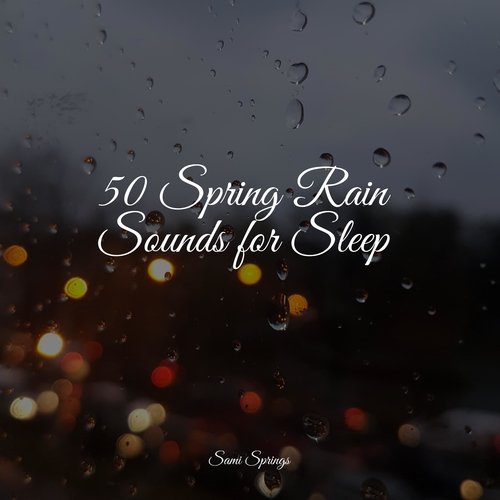 Rain, Storm and Thunder cover art