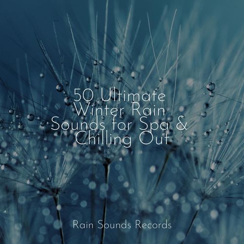 Raindrops Dance on Glass cover art