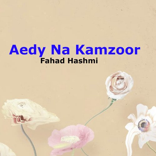 Aedy Na Kamzoor