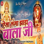 Aisa laga jhara bala ji artwork
