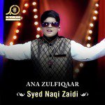 Ana Zulfiqaar