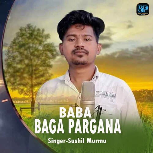 Baba Baga Pargana