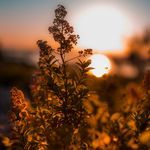 Golden (Piano Version)