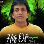 Hits Of Evergreen, Vol .02