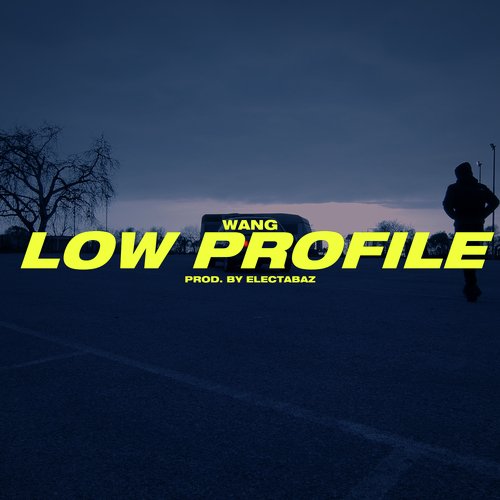 Low Profile_poster_image