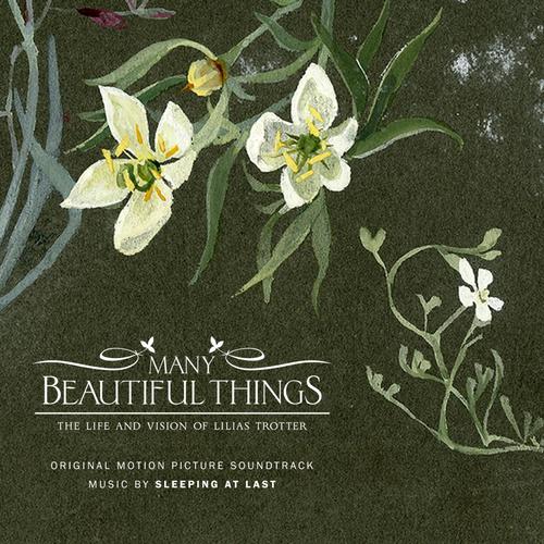 Many Beautiful Things_poster_image