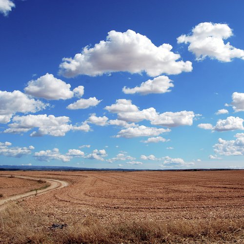 Massage Soundscape 2019 - Soothing Flute Music