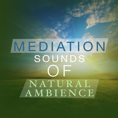 Mediation Sounds of Natural Ambience