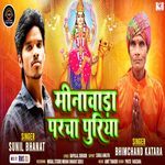 Minavada Parcha Puriya